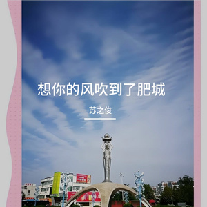 想你的风吹到了肥城