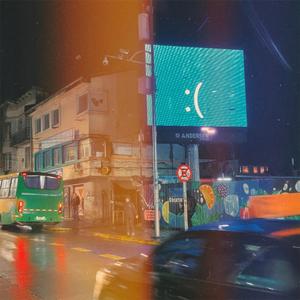 Popurrí (Selva valdiviana)