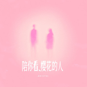 陪你看樱花的人