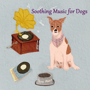 은은한 달 (하프) (빗소리)