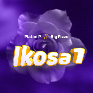 Ikosa 1