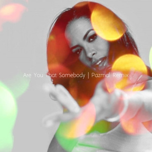 Are You That Somebody (Pazmal Remix)