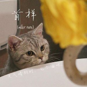 再也不会有人会比我更爱你