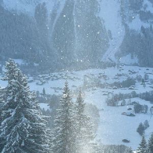 我最心爱的姑娘