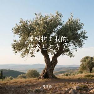 橄榄树 (Cover 大头针)