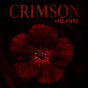 Fragile Little Creature