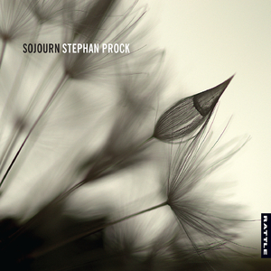 Stradivariazioni:No. 2, Le rossignol. Andante notturno