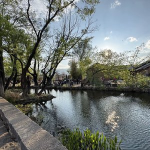 有恃无恐