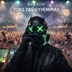 Toks Tas Gyvenimas