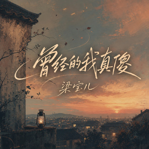 曾经的我真傻