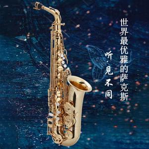 你是我的期许 萨克斯