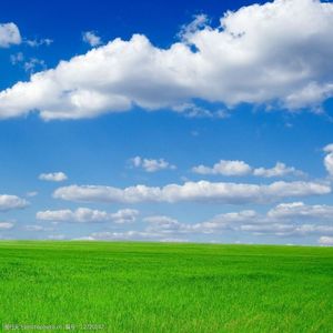 在星光闪耀的夜晚