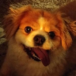 נסענו לבאולינג