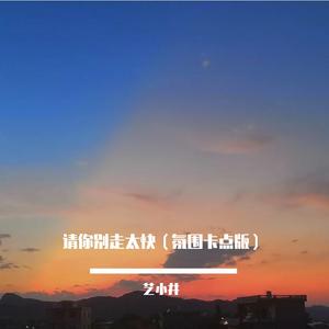 别让爱凋落（请别走太快卡点节奏版）