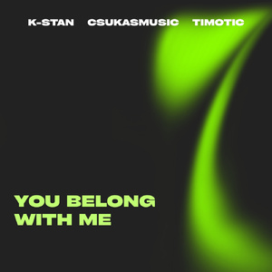 You Belong With Me