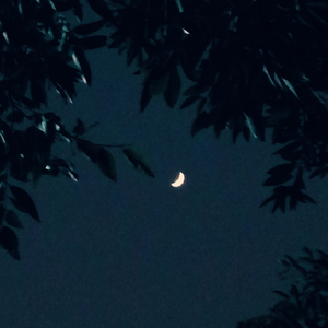 go back to the basis