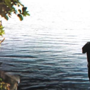 fivemoreminuteswouldntsolveanyofyourproblems