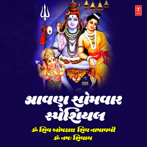 Om Namah Shivay(Dhun) [From "Om Namah Shivay (Dhun)"]