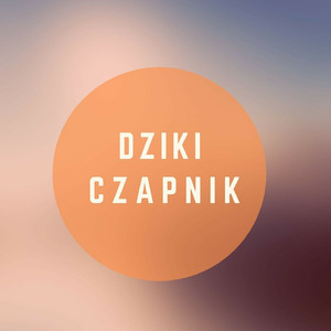 Dziki Czapnik