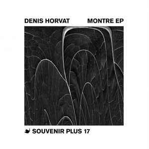 Montre (Original Mix)