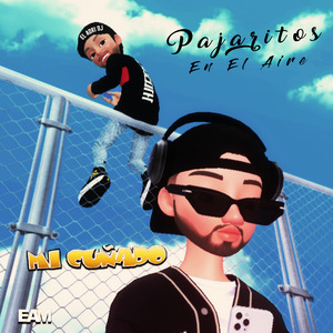 Pajaritos en el Aire