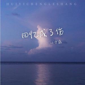 回忆成了伤 (DJ版)