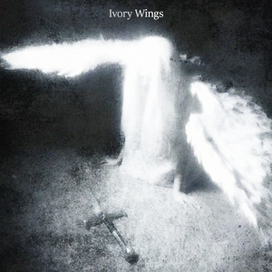 Ivory Wings