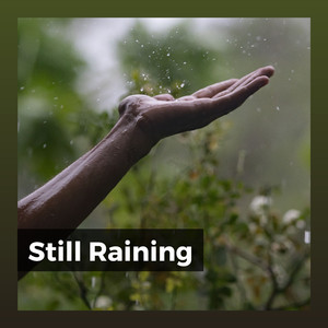 Commendable Rain