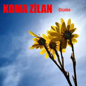 Çiçeke