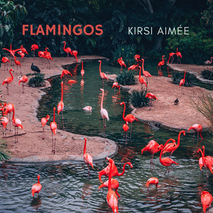Flamingos