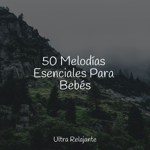 Completamente Relajado