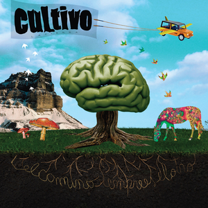 Atravieso las Paredes