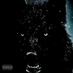 Wolves (feat. Huevvs)