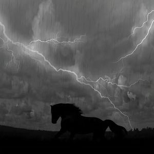 Bongduck Rangers (Reverb&Mix)