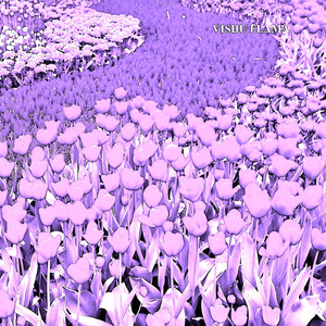 Vetri (Instrumental)