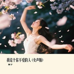 我这个你不爱的人  (女声版) (Remix)