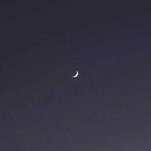 踮起脚尖爱（Cover 洪佩瑜）