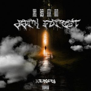 黑暗森林Dark Forest