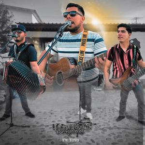 Tu Nuevo Cariñito (En Vivo)