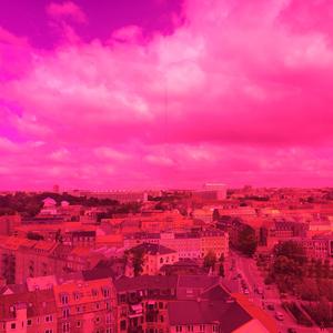 Iowa Plates / Laudrup