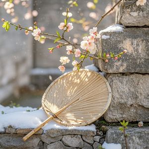 风过旧院