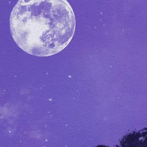 梦幻的仙境 伴奏