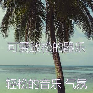 优美放松的器乐