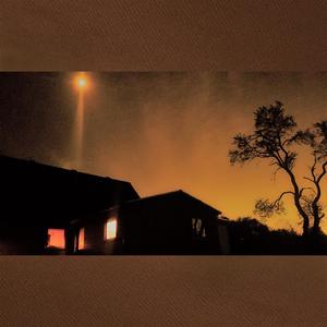 Satse på tilgivelse