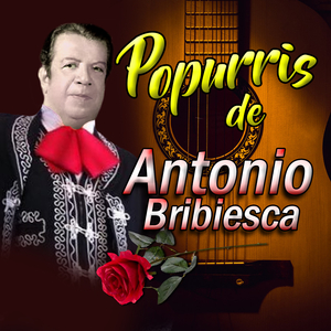 Popurri 3: Chacha linda, Vuelve, Morena Mía
