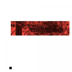 Nachtnotizen #32 - Absolut