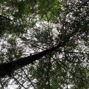 薛绪(Prod By 牙刷/Meralless)