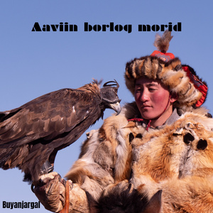 Aaviin Borlog Morid