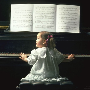 Call of silence钢琴曲