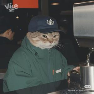 Spin back x Pull up in a rover